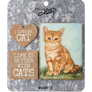 ORANGE CAT Memo Magnet Set STRIPED KITTY Artwork Home Office Kitten Lovers Gifts